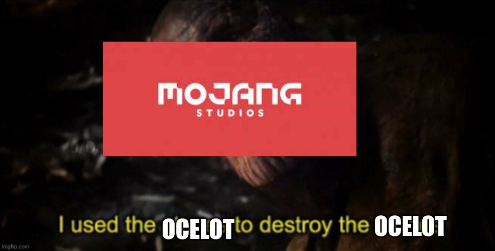 I used the stones to destroy the stones | OCELOT OCELOT | image tagged in i used the stones to destroy the stones | made w/ Imgflip meme maker