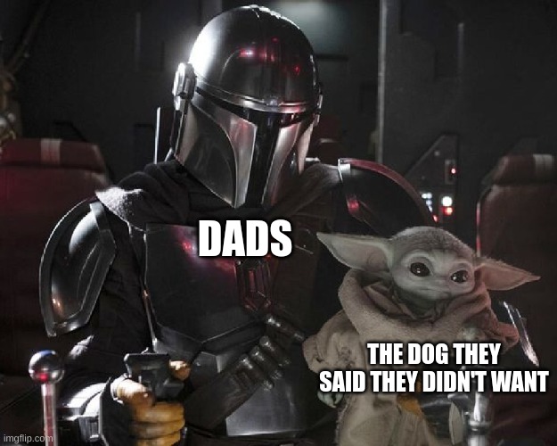 my new template | DADS; THE DOG THEY SAID THEY DIDN'T WANT | image tagged in baby yoda dad meme | made w/ Imgflip meme maker