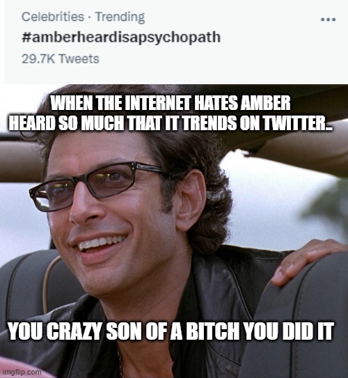 Jeff goldblum | WHEN THE INTERNET HATES AMBER HEARD SO MUCH THAT IT TRENDS ON TWITTER.. YOU CRAZY SON OF A BITCH YOU DID IT | image tagged in jeff goldblum | made w/ Imgflip meme maker