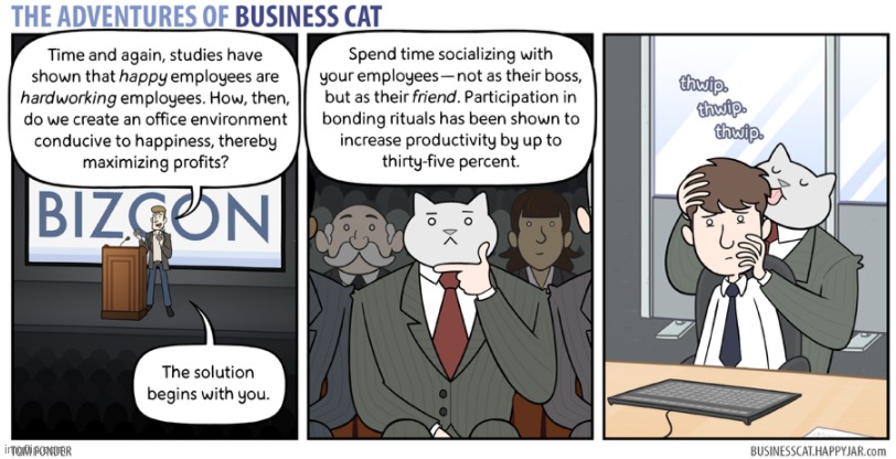 Business Cat Bonds | image tagged in business cat,comic,cats,bonding | made w/ Imgflip meme maker