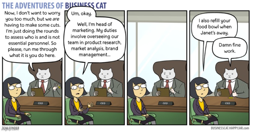 Business Cat talks with an employee | image tagged in business cat,cat,cat food,business | made w/ Imgflip meme maker