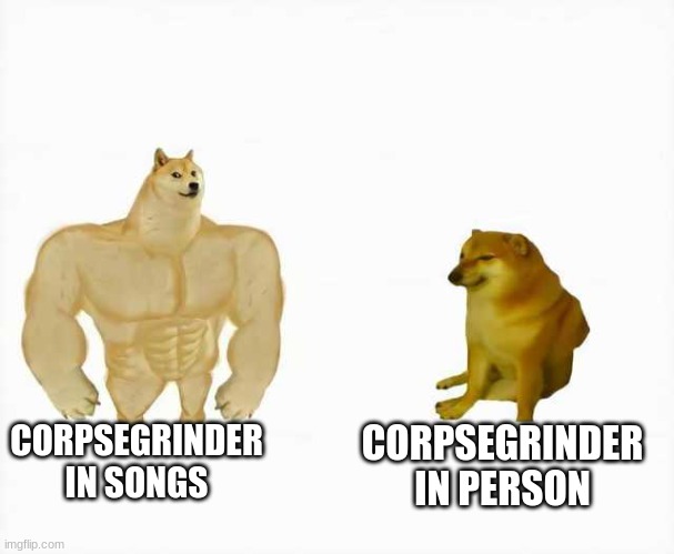 wfjaojgawg |  CORPSEGRINDER IN SONGS; CORPSEGRINDER IN PERSON | image tagged in strong dog vs weak dog | made w/ Imgflip meme maker