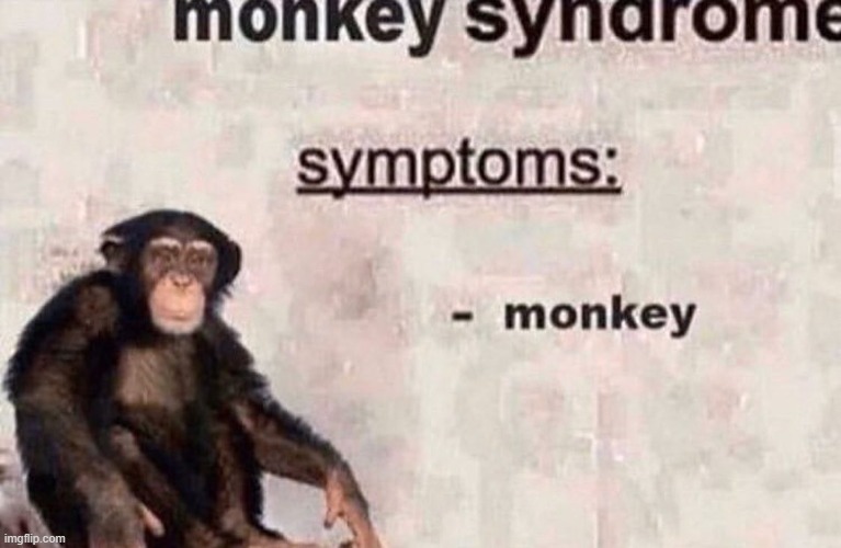 monke | image tagged in monkey syndrome | made w/ Imgflip meme maker