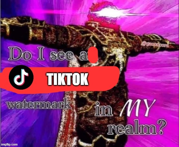 DO I SEE A TIKTOK WATERMARK IN MY REALM?!?!?!?!?! | image tagged in do i see a tiktok watermark | made w/ Imgflip meme maker