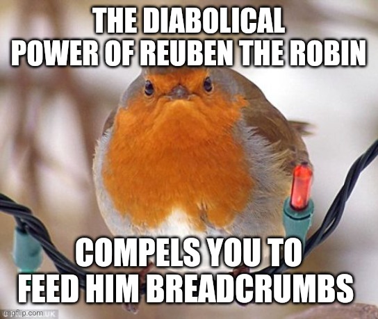 You must give in to his peckish desires :> | THE DIABOLICAL POWER OF REUBEN THE ROBIN; COMPELS YOU TO FEED HIM BREADCRUMBS | image tagged in memes,bah humbug,reuben the robin,strikes again,simothefinlandized | made w/ Imgflip meme maker