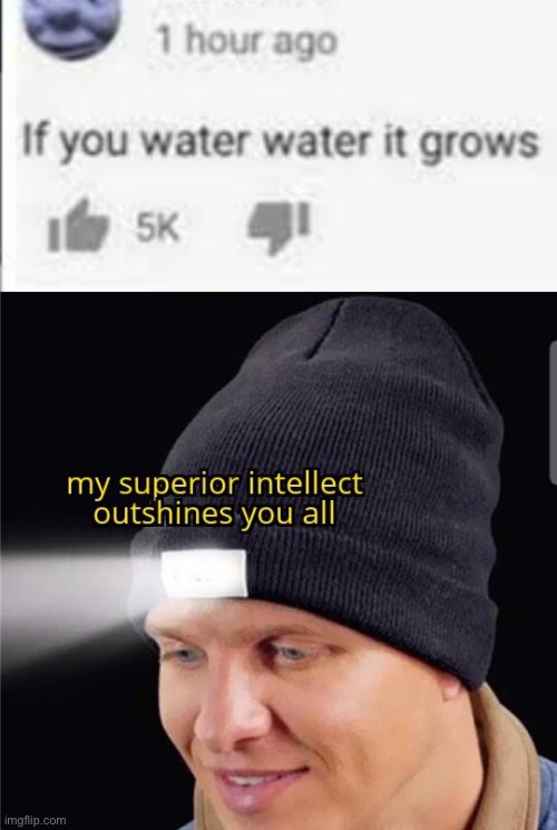 superior intelligence | image tagged in if you water water it grows,my superior intellect outshines you all | made w/ Imgflip meme maker