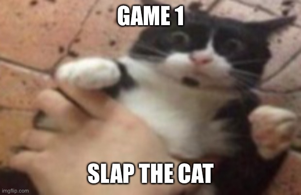 Run | GAME 1; SLAP THE CAT | image tagged in run | made w/ Imgflip meme maker