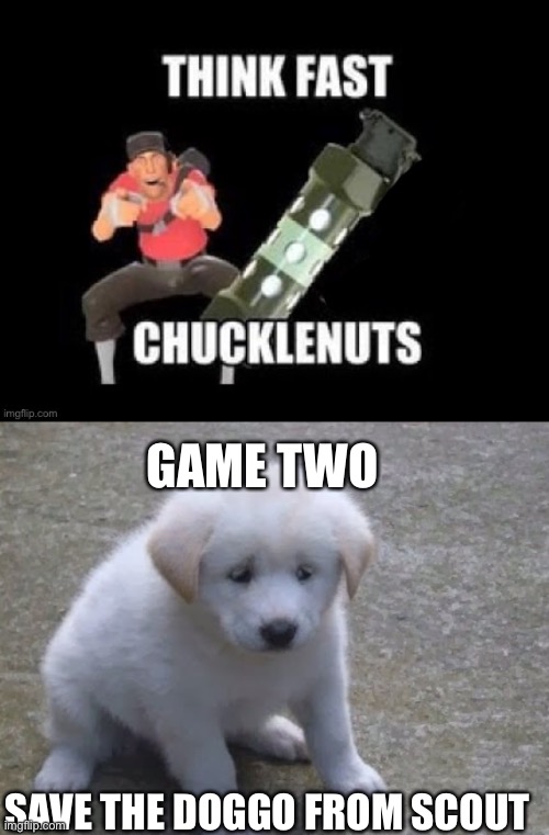 GAME TWO; SAVE THE DOGGO FROM SCOUT | image tagged in think fast chucklenuts but the pin is pulled,sad sad doggo ' | made w/ Imgflip meme maker