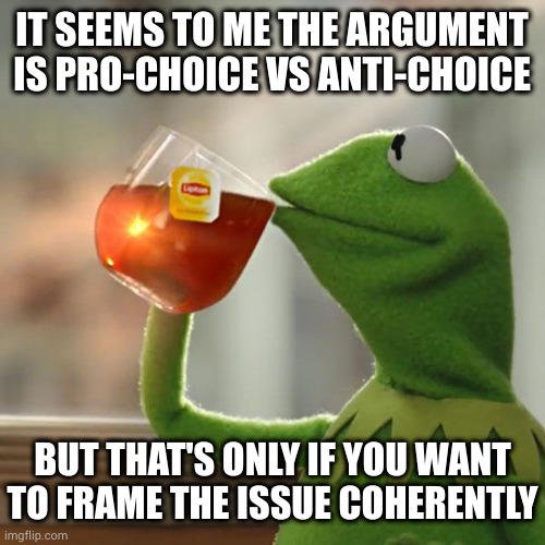 Pro-choice doesn't mean anti-life Killing doctors, criminalizing legitimate care and supporting capital punishment are anti-life | IT SEEMS TO ME THE ARGUMENT IS PRO-CHOICE VS ANTI-CHOICE; BUT THAT'S ONLY IF YOU WANT TO FRAME THE ISSUE COHERENTLY | image tagged in memes,but that's none of my business,kermit the frog | made w/ Imgflip meme maker