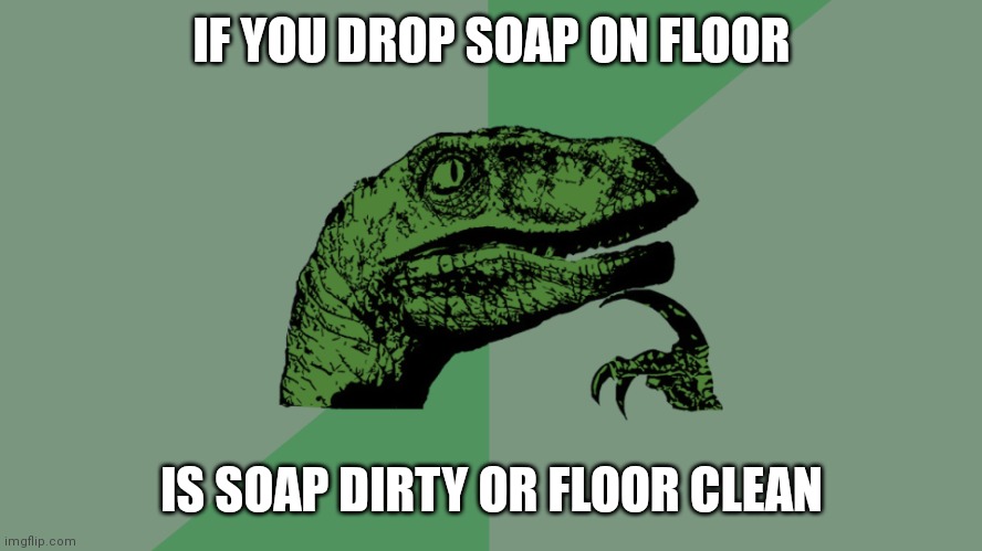 #old memes | IF YOU DROP SOAP ON FLOOR; IS SOAP DIRTY OR FLOOR CLEAN | image tagged in philosophy dinosaur,old memes | made w/ Imgflip meme maker