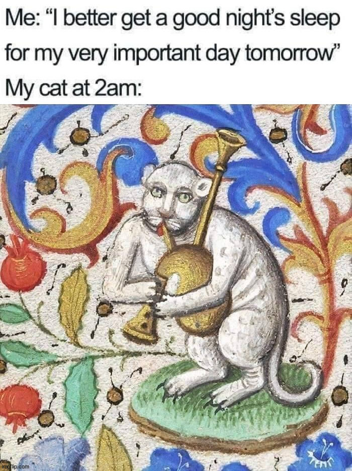 image tagged in cats | made w/ Imgflip meme maker