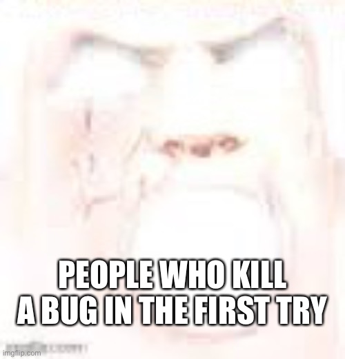 Mr. Incredible Being Canny | PEOPLE WHO KILL A BUG IN THE FIRST TRY | image tagged in mr incredible being canny,memes,brazil,brasil,funny,insects | made w/ Imgflip meme maker