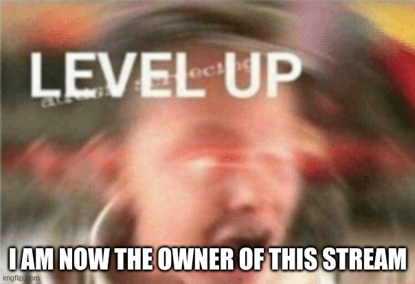 i guess you could say i am the owner of all stream(s) | I AM NOW THE OWNER OF THIS STREAM | image tagged in level up | made w/ Imgflip meme maker