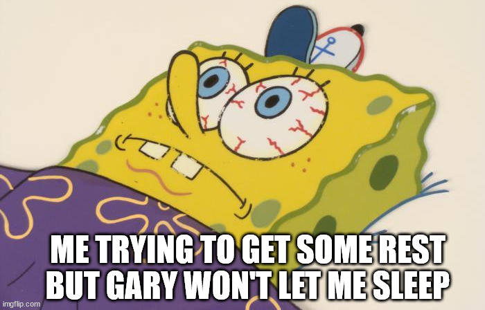 Cant sleep | ME TRYING TO GET SOME REST BUT GARY WON'T LET ME SLEEP | image tagged in cant sleep | made w/ Imgflip meme maker