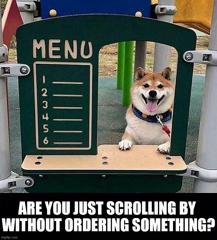 ARE YOU JUST SCROLLING BY 
WITHOUT ORDERING SOMETHING? | image tagged in dogs | made w/ Imgflip meme maker