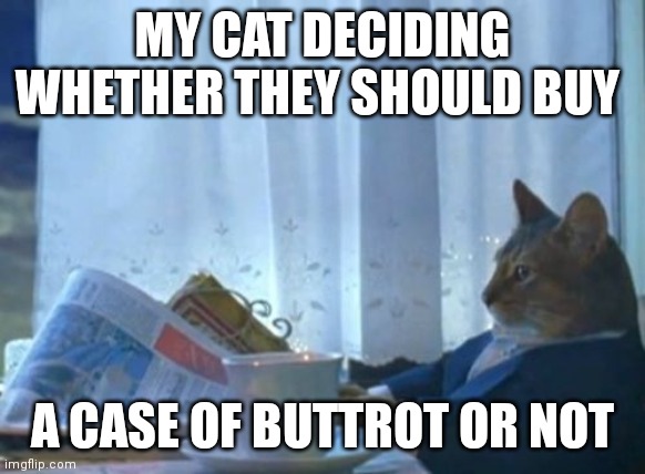 I Should Buy A Boat Cat | MY CAT DECIDING WHETHER THEY SHOULD BUY; A CASE OF BUTTROT OR NOT | image tagged in memes,i should buy a boat cat | made w/ Imgflip meme maker