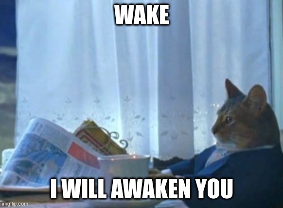 I Should Buy A Boat Cat | WAKE; I WILL AWAKEN YOU | image tagged in memes,i should buy a boat cat | made w/ Imgflip meme maker