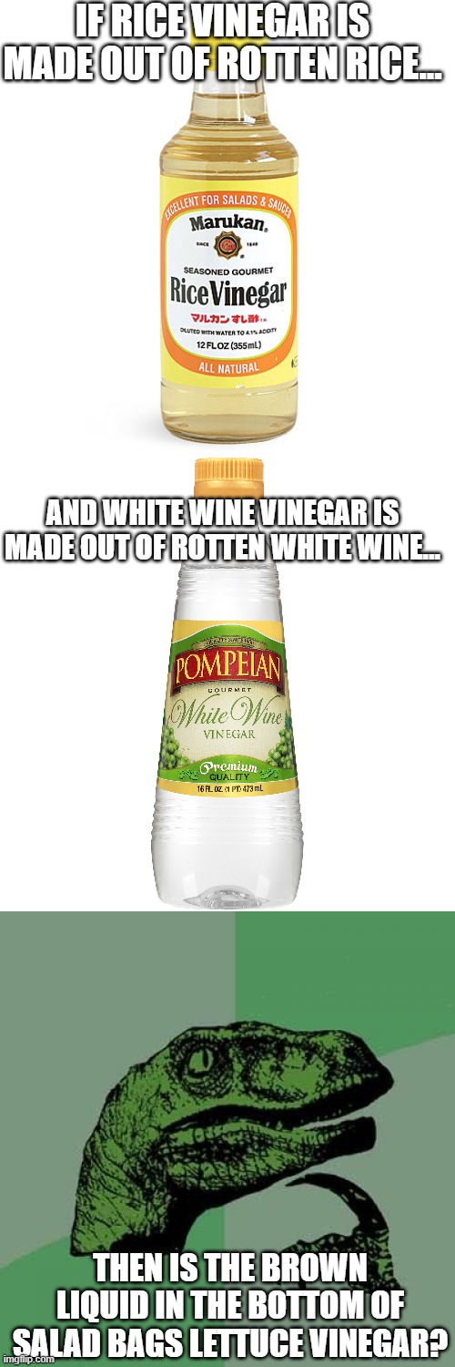 Salad |  IF RICE VINEGAR IS MADE OUT OF ROTTEN RICE... AND WHITE WINE VINEGAR IS MADE OUT OF ROTTEN WHITE WINE... THEN IS THE BROWN LIQUID IN THE BOTTOM OF SALAD BAGS LETTUCE VINEGAR? | image tagged in memes,philosoraptor,vinegar,philosophy,lettuce | made w/ Imgflip meme maker