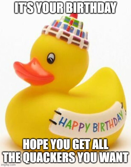 Birthday duck | IT'S YOUR BIRTHDAY; HOPE YOU GET ALL THE QUACKERS YOU WANT | image tagged in happy birthday | made w/ Imgflip meme maker