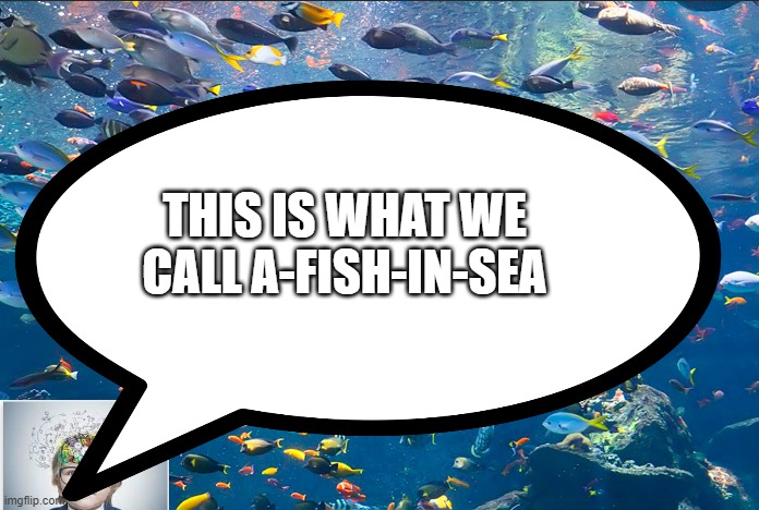 THIS IS WHAT WE CALL A-FISH-IN-SEA | image tagged in efficiency,a-fish-in-sea | made w/ Imgflip meme maker