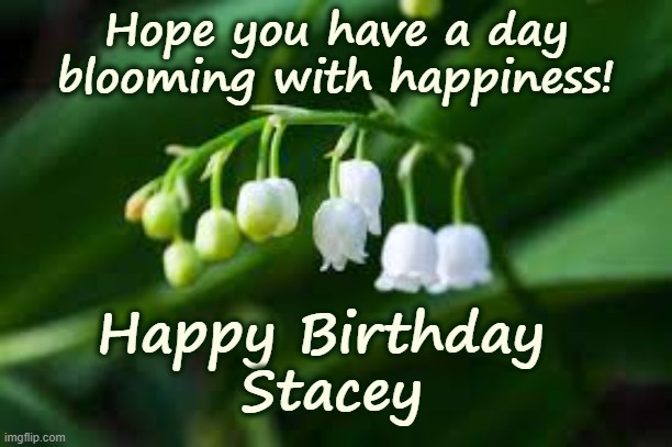Happy Birthday Stacey | Hope you have a day blooming with happiness! Happy Birthday 
Stacey | image tagged in happy birthday,stacey,lily of the valley | made w/ Imgflip meme maker