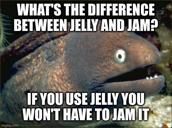 Don't be jelly, this my jam | WHAT'S THE DIFFERENCE BETWEEN JELLY AND JAM? IF YOU USE JELLY YOU
WON'T HAVE TO JAM IT | image tagged in memes,bad joke eel | made w/ Imgflip meme maker