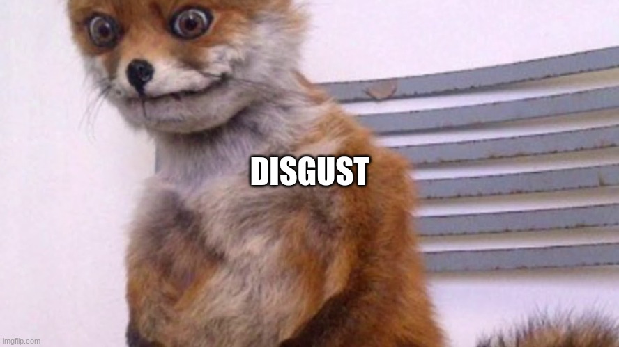 cursed tails | DISGUST | image tagged in cursed tails | made w/ Imgflip meme maker