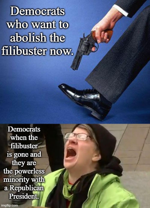 Democrats - Be Careful What You Wish For | Democrats who want to abolish the filibuster now. Democrats when the filibuster is gone and they are the powerless minority with
a Republican
President. | image tagged in shooting self in foot,sky screamer,politics,memes | made w/ Imgflip meme maker
