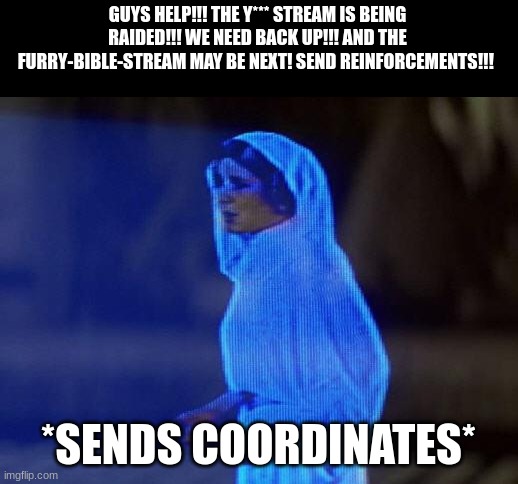 We May be next too! | GUYS HELP!!! THE Y*** STREAM IS BEING RAIDED!!! WE NEED BACK UP!!! AND THE FURRY-BIBLE-STREAM MAY BE NEXT! SEND REINFORCEMENTS!!! *SENDS COORDINATES* | made w/ Imgflip meme maker