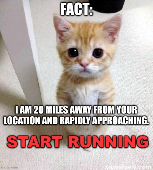 Would you run from this cat tho? comment if you would or wouldn't | FACT:; I AM 20 MILES AWAY FROM YOUR LOCATION AND RAPIDLY APPROACHING. START RUNNING | image tagged in memes,cute cat,cat,start running,fact,would you tho | made w/ Imgflip meme maker