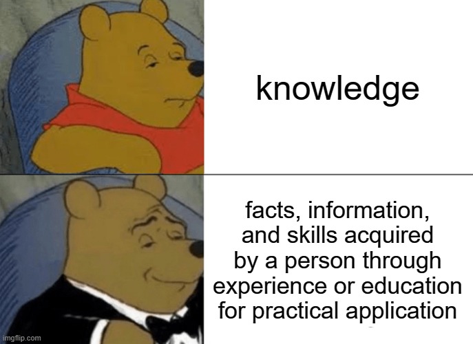 knowledge | knowledge; facts, information, and skills acquired by a person through experience or education for practical application | image tagged in memes,tuxedo winnie the pooh | made w/ Imgflip meme maker