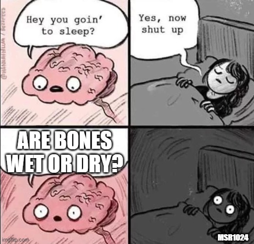 #2bymsr1024 | ARE BONES WET OR DRY? MSR1024 | image tagged in waking up brain | made w/ Imgflip meme maker