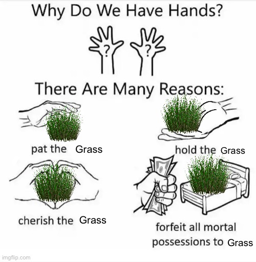 Dew it | Grass; Grass; Grass; Grass | image tagged in why do we have hands all blank | made w/ Imgflip meme maker