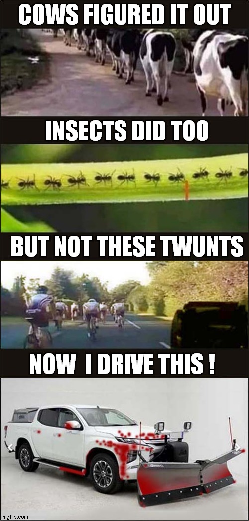 Why Cyclists Are Hated ! | COWS FIGURED IT OUT; INSECTS DID TOO; BUT NOT THESE TWUNTS; NOW  I DRIVE THIS ! | image tagged in nature,single file,cyclists,snow plow,dark humour | made w/ Imgflip meme maker