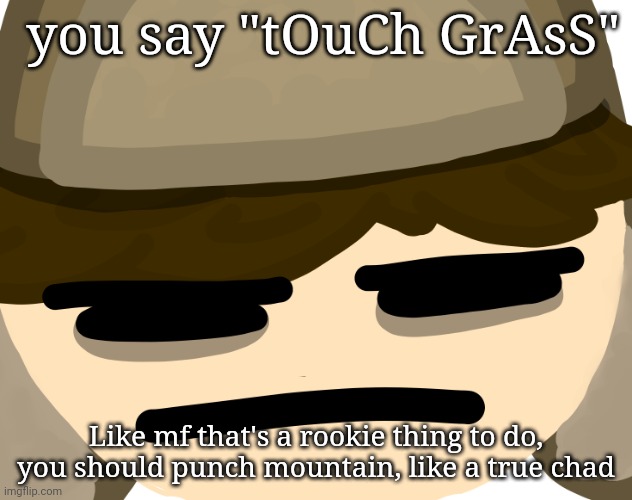 get real | you say "tOuCh GrAsS"; Like mf that's a rookie thing to do, you should punch mountain, like a true chad | made w/ Imgflip meme maker