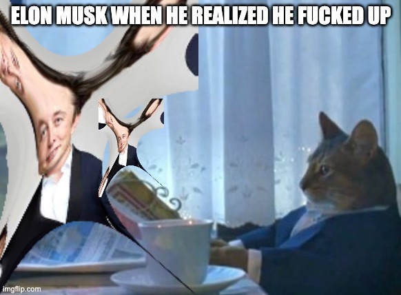 Elon MUSK meme | ELON MUSK WHEN HE REALIZED HE FUCKED UP | image tagged in elon musk | made w/ Imgflip meme maker