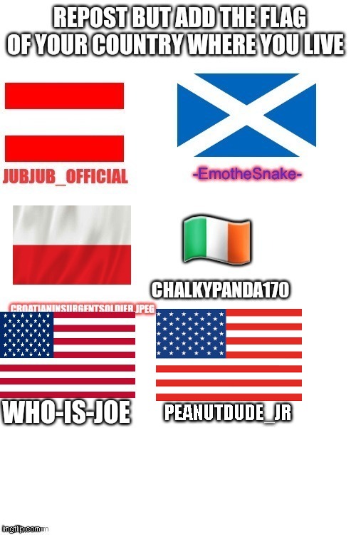 repost but add the flag of your country where you live | PEANUTDUDE_JR | image tagged in repost | made w/ Imgflip meme maker