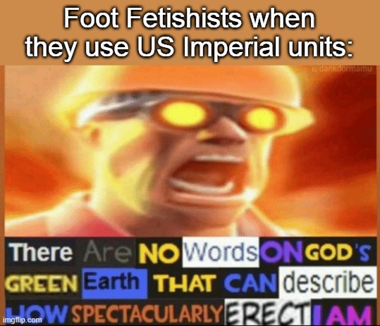 there are no words on god's green earth | Foot Fetishists when they use US Imperial units: | image tagged in there are no words on god's green earth,memes | made w/ Imgflip meme maker
