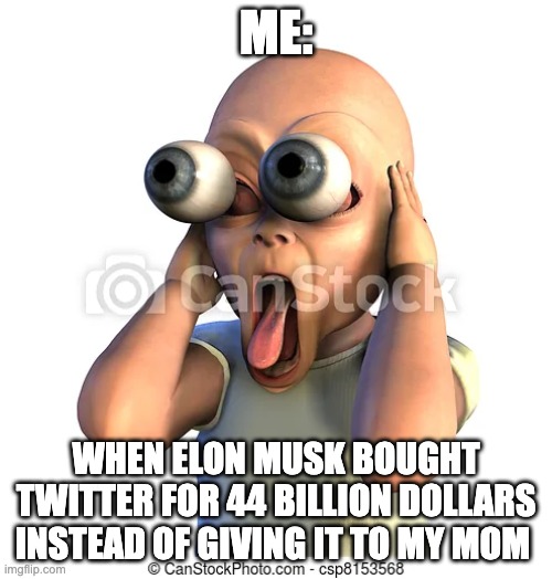 Elon MUSK meme | ME:; WHEN ELON MUSK BOUGHT TWITTER FOR 44 BILLION DOLLARS INSTEAD OF GIVING IT TO MY MOM | image tagged in elon musk | made w/ Imgflip meme maker