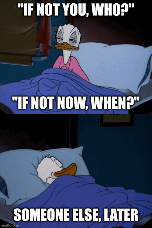 On a long enough timeline most problems work themselves out anyway | "IF NOT YOU, WHO?"; "IF NOT NOW, WHEN?"; SOMEONE ELSE, LATER | image tagged in sleeping donald duck | made w/ Imgflip meme maker
