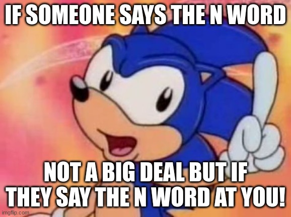 Sonic Sez | IF SOMEONE SAYS THE N WORD NOT A BIG DEAL BUT IF THEY SAY THE N WORD AT YOU! | image tagged in sonic sez | made w/ Imgflip meme maker
