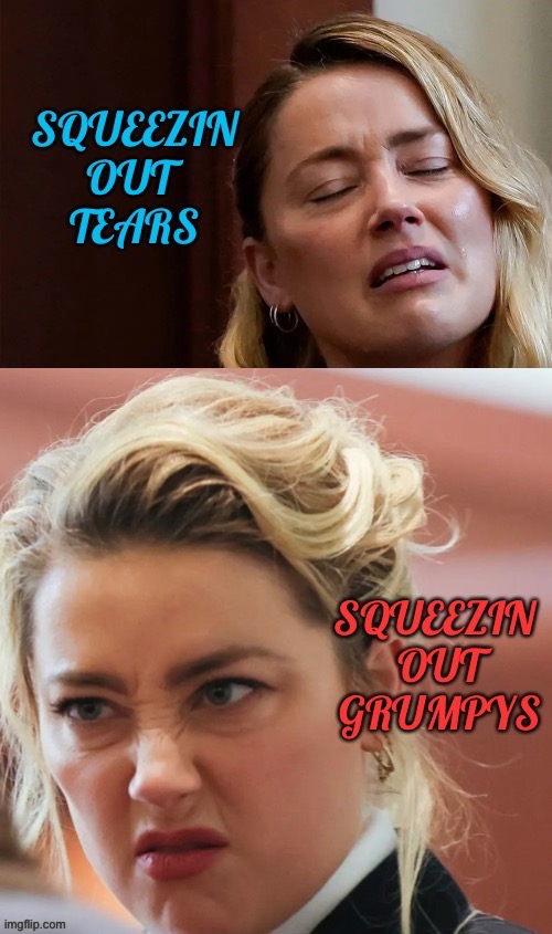 image tagged in amber heard | made w/ Imgflip meme maker