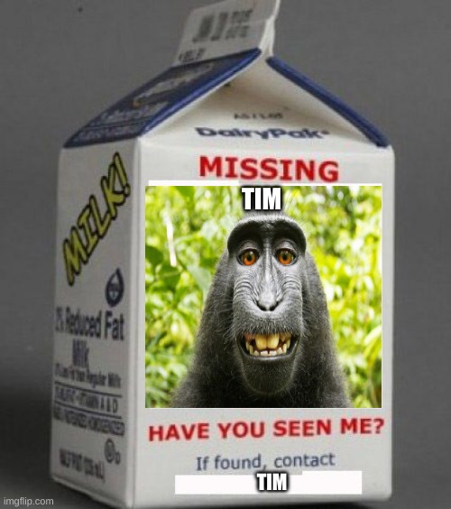 Milk carton |  TIM; TIM | image tagged in milk carton,stupid,monkey | made w/ Imgflip meme maker
