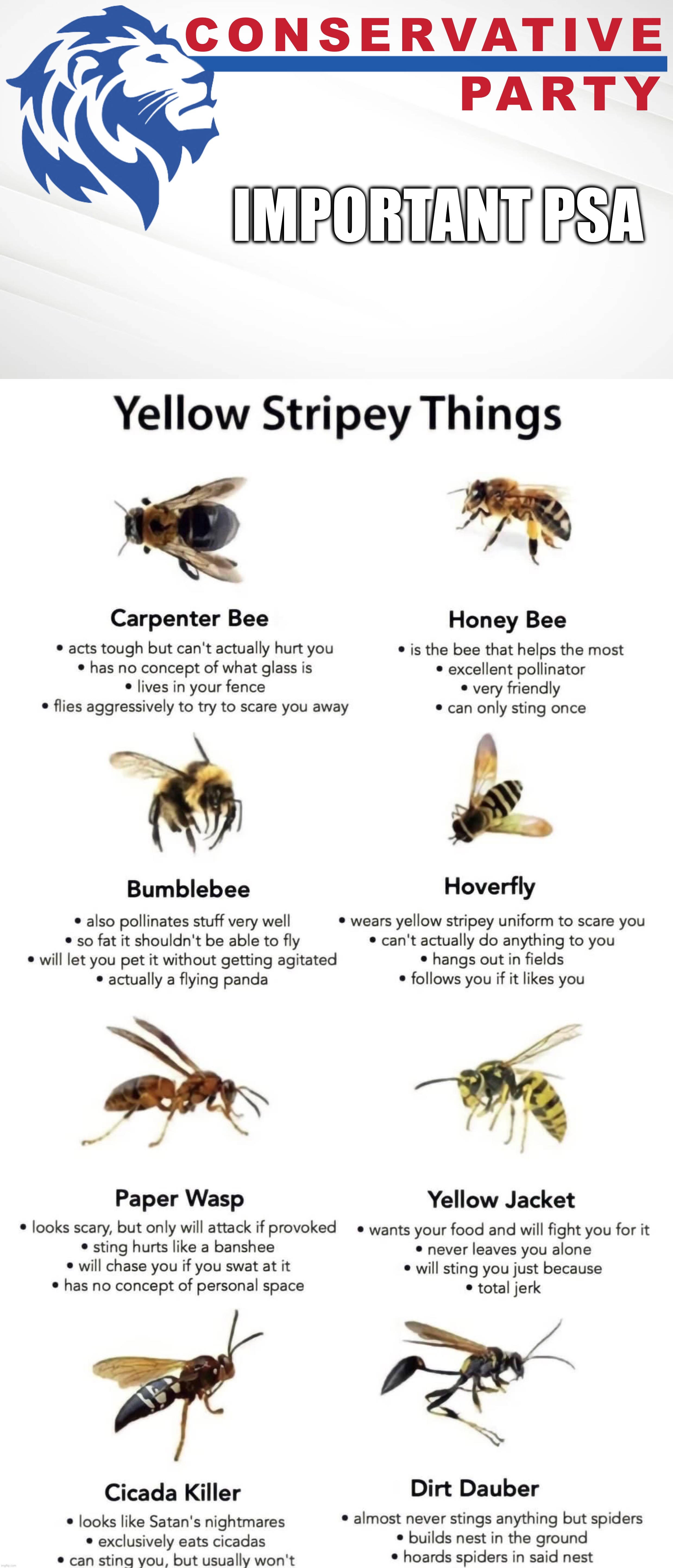 Know your yellow stripey flying things! | IMPORTANT PSA | image tagged in conservative party of imgflip,yellow stripey things,yellow,stripey,flying,things | made w/ Imgflip meme maker