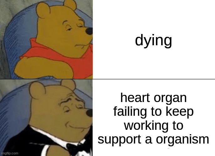 dying pooh meme |  dying; heart organ failing to keep working to support a organism | image tagged in memes,tuxedo winnie the pooh,death,edgy | made w/ Imgflip meme maker