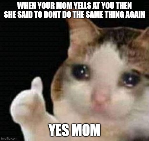sad thumbs up cat | WHEN YOUR MOM YELLS AT YOU THEN SHE SAID TO DONT DO THE SAME THING AGAIN; YES MOM | image tagged in sad thumbs up cat | made w/ Imgflip meme maker
