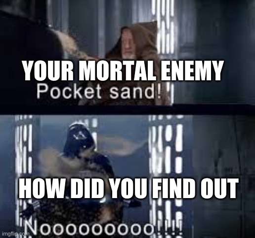 how obi wans duel with darth vader really went down | YOUR MORTAL ENEMY; HOW DID YOU FIND OUT | image tagged in star wars | made w/ Imgflip meme maker