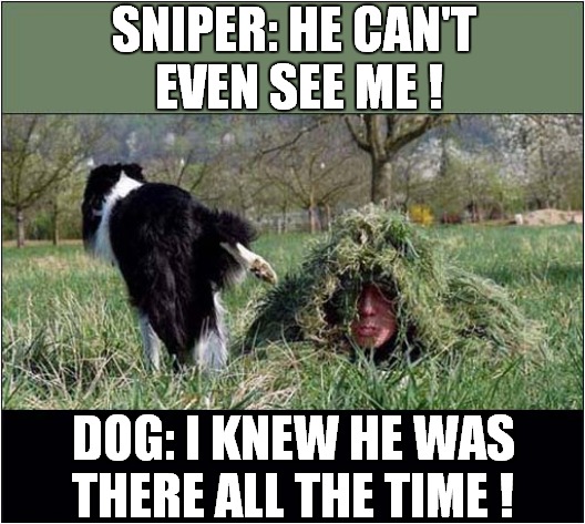 Dog Vs Camouflaged Sniper ! | SNIPER: HE CAN'T 
EVEN SEE ME ! DOG: I KNEW HE WAS
THERE ALL THE TIME ! | image tagged in dogs,camouflage,sniper,peeing | made w/ Imgflip meme maker