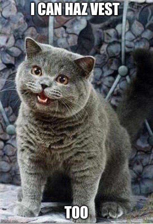 I can has cheezburger cat | I CAN HAZ VEST TOO | image tagged in i can has cheezburger cat | made w/ Imgflip meme maker