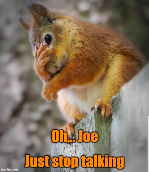 Just stop talking; Oh,.. Joe | image tagged in funny memes | made w/ Imgflip meme maker